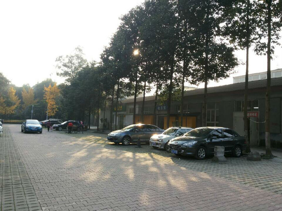 QQ图片20150105160810.jpg